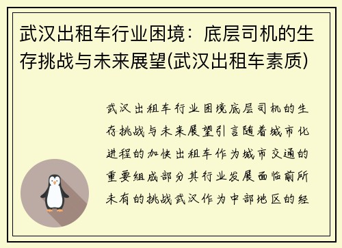 武汉出租车行业困境：底层司机的生存挑战与未来展望(武汉出租车素质)