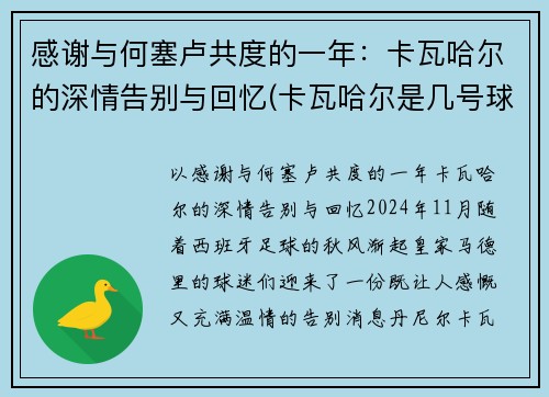 感谢与何塞卢共度的一年：卡瓦哈尔的深情告别与回忆(卡瓦哈尔是几号球衣)