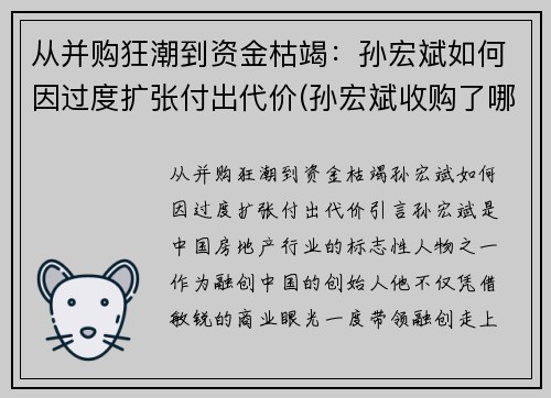 从并购狂潮到资金枯竭：孙宏斌如何因过度扩张付出代价(孙宏斌收购了哪些)